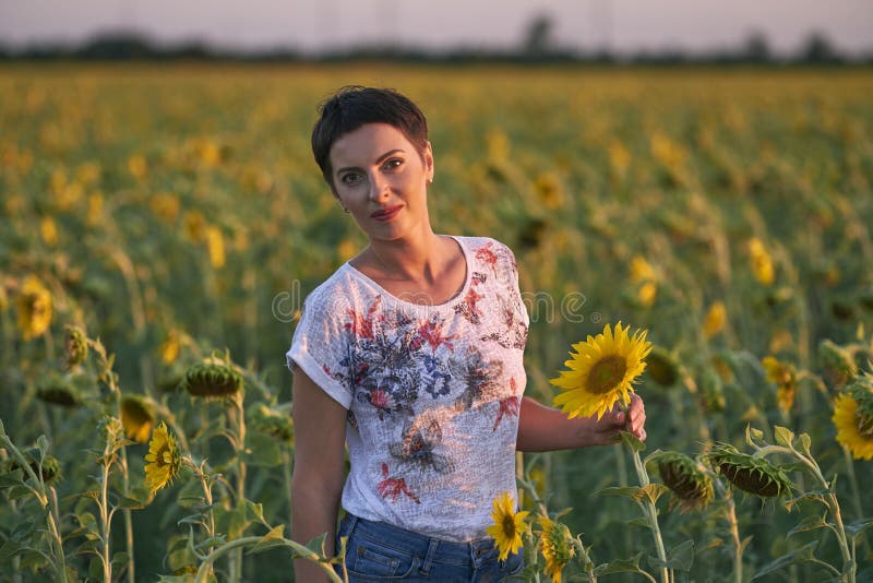 Молодая женщина в поле солнцецветов на заходе солнца стоковые изображения Молодая женщина в поле солнцецветов на заходе солнца стоковые изображения