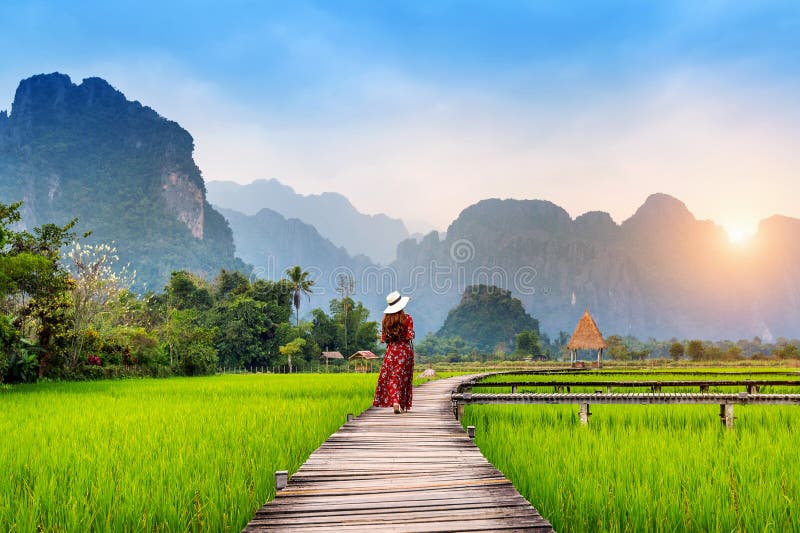 Молодая женщина идя на деревянный путь с зеленым полем риса в Vang Vieng, Лаосе стоковые фото