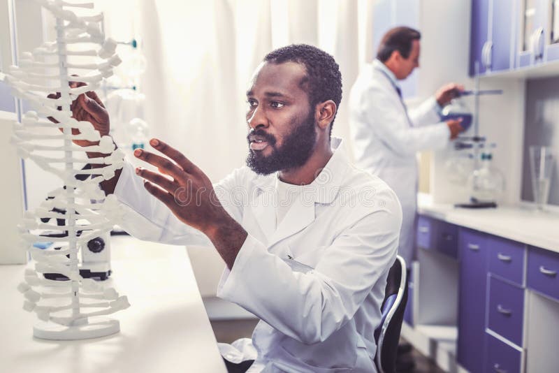 Молодой bioengineer изучая молекулярную цепочечную модель стоковые изображения rf