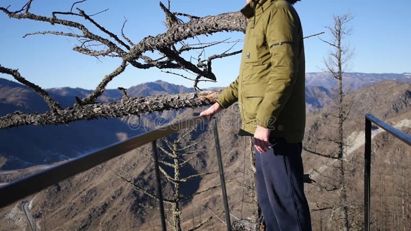 Молодой человек стоит na górze горы около старого сухого дерева, смотрит панораму долины и гор