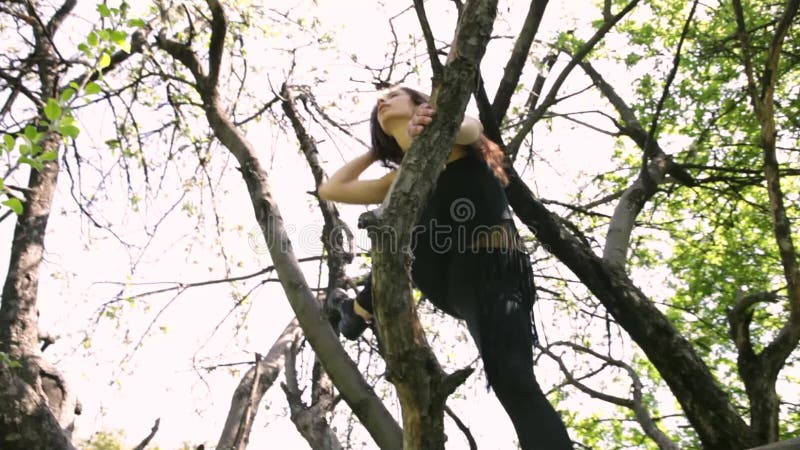 Молодые сексуальные танцы женщины танцора на дереве