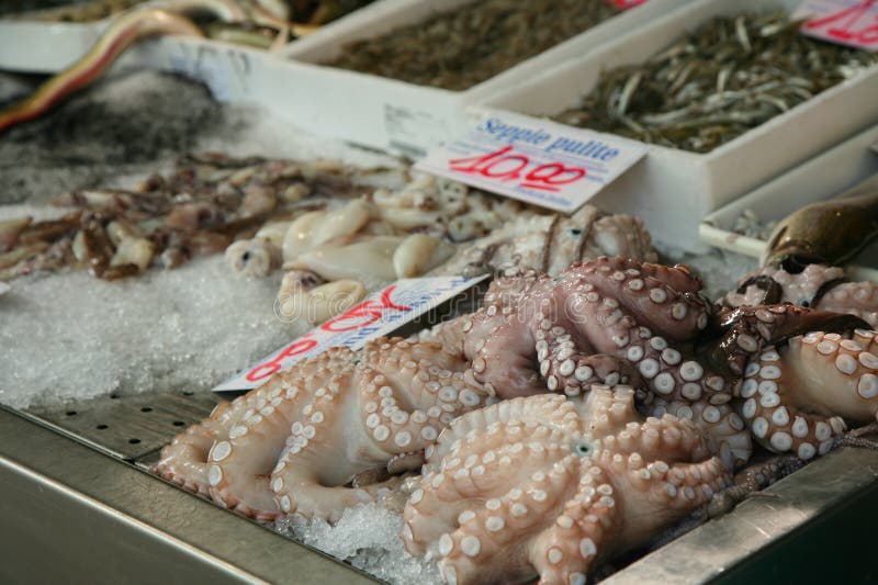 море еды стоковое изображение море еды стоковое изображение