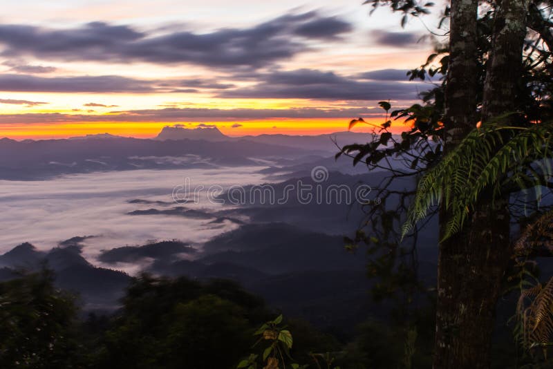 Море тумана с Doi Luang Chiang Dao, запрудой Doi формы взгляда в Wianghaeng стоковые фотографии rf