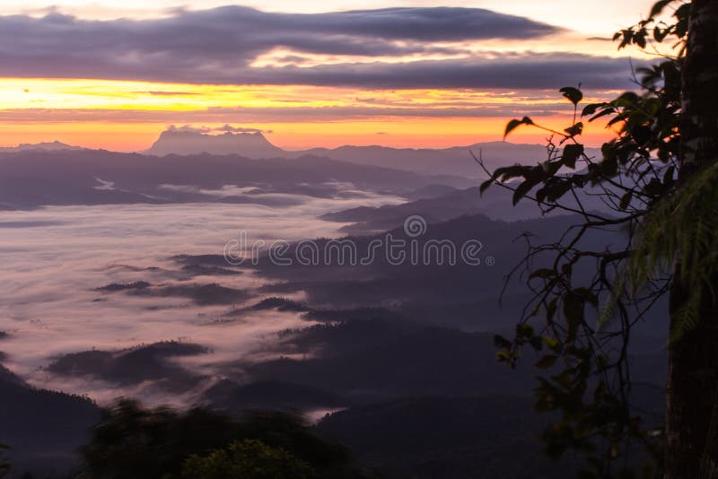 Море тумана с Doi Luang Chiang Dao, запрудой Doi формы взгляда в Wianghaeng стоковая фотография rf