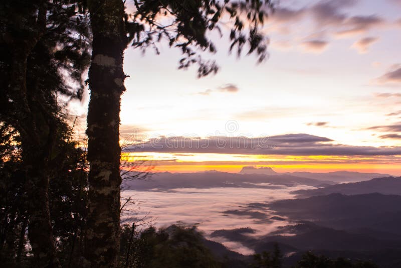 Море тумана с Doi Luang Chiang Dao, запрудой Doi формы взгляда в Wianghaeng стоковые фотографии rf