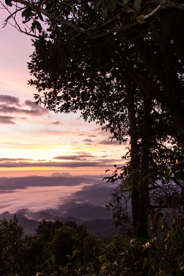 Море тумана с Doi Luang Chiang Dao, запрудой Doi формы взгляда в Wianghaeng стоковая фотография