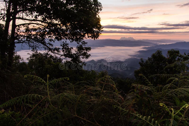 Море тумана с Doi Luang Chiang Dao, запрудой Doi формы взгляда в Wianghaeng стоковое фото