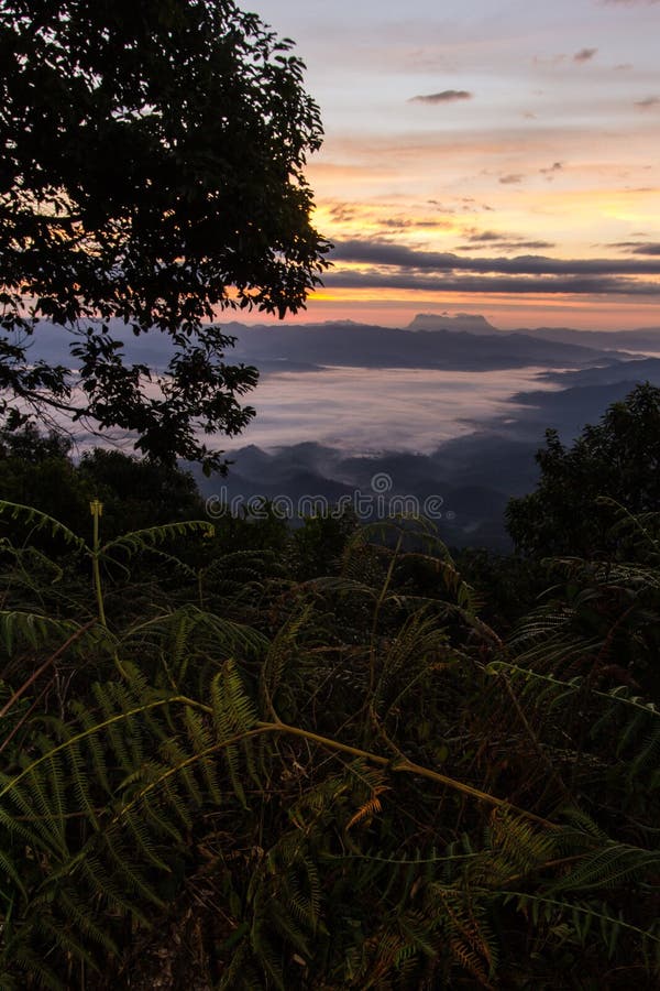 Море тумана с Doi Luang Chiang Dao, запрудой Doi формы взгляда в Wianghaeng стоковое фото rf