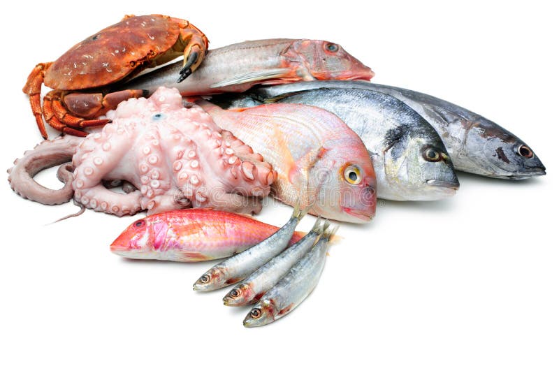 Морепродукты изолированные на белой предпосылке стоковое изображение Морепродукты изолированные на белой предпосылке стоковое изображение