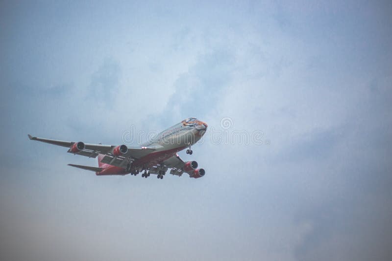 Moscow, Russia - 9 May 2019: Close-up of a passenger plane with a pattern of a tiger airline Rossiya flies on a blue sky. Moscow, Russia - 9 May 2019: Close-up of a passenger plane with a pattern of a tiger airline Rossiya flies on a blue sky