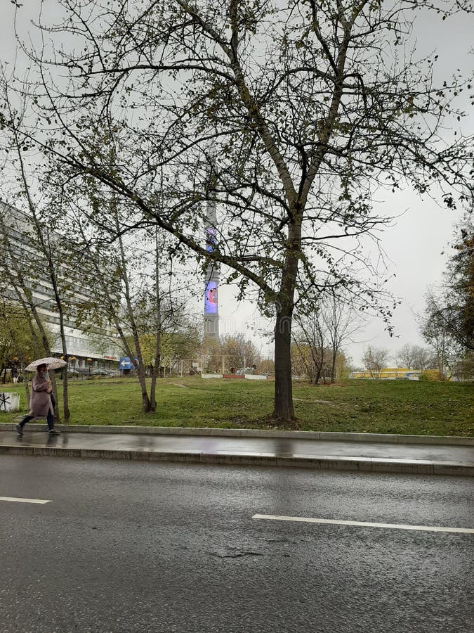 Москва- Россия 20-ое октября 2020 : Обычные московские улицы стоковое изображение rf