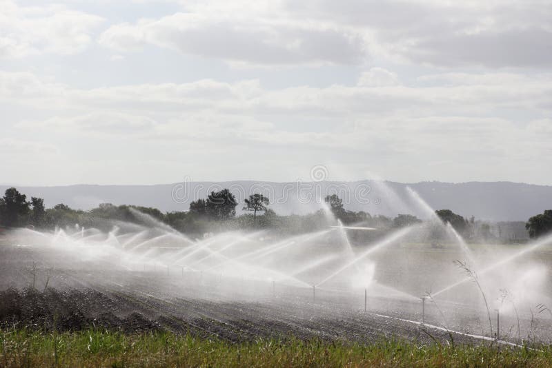 Watering the fields via sprinkler irrigation system. Australian farmland. Watering the fields via sprinkler irrigation system. Australian farmland.