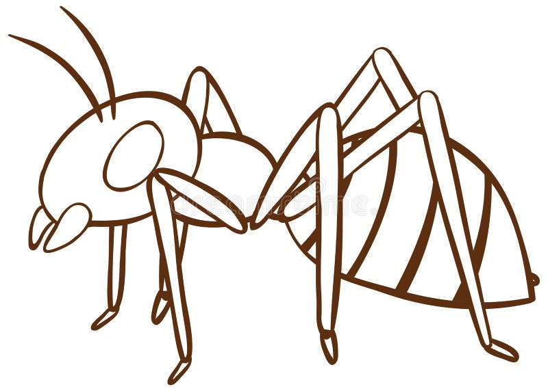 Por que las hormigas hacen circulos