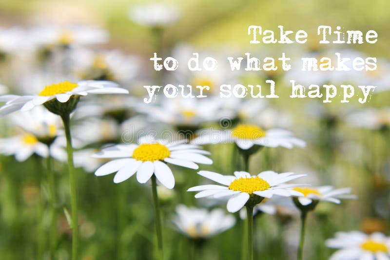 Take Time to do what makes your soul happy, quote on field of daisies. Take Time to do what makes your soul happy, quote on field of daisies