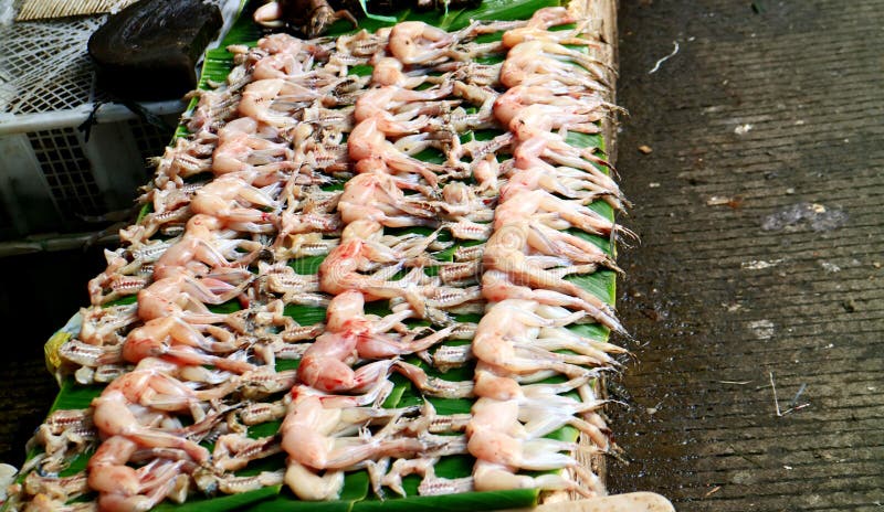 Мясо лягушки стоковое изображение Мясо лягушки стоковое изображение