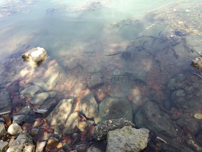 На берегу реки близко стоковое фото На берегу реки близко стоковое фото