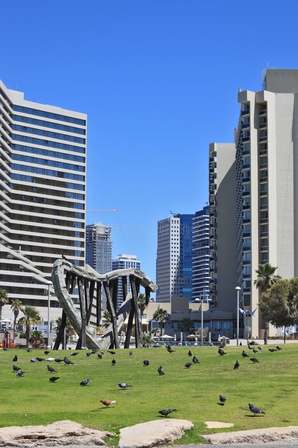 TEL AVIV, ISRAEL - MAY 2, 2014: Beautiful Tel Aviv promenade. On the green lawn in front of the hotel walks flock of pigeons. TEL AVIV, ISRAEL - MAY 2, 2014: Beautiful Tel Aviv promenade. On the green lawn in front of the hotel walks flock of pigeons