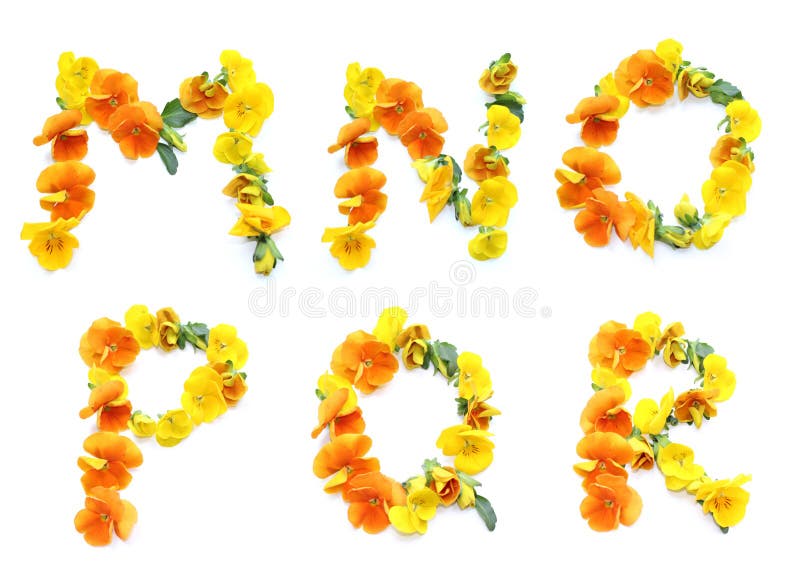 set of flowers arrangement with orange and yellow real fresh blossoms, combined letters M N O P Q R alphabet for Mother's Day, Valentine's Day, Marriage, wedding day, Thank you, get well soon, greetings cards, presents, birthday gifts and mails, capital letter M to create the word mother. set of flowers arrangement with orange and yellow real fresh blossoms, combined letters M N O P Q R alphabet for Mother's Day, Valentine's Day, Marriage, wedding day, Thank you, get well soon, greetings cards, presents, birthday gifts and mails, capital letter M to create the word mother