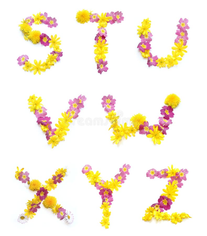 set of flowers arrangement with pink and yellow real fresh blossoms, combined letters S T U V W X Y Z alphabet for Mother's Day, Valentine's Day, Marriage, wedding day, Thank you, get well soon, greetings cards, presents, birthday gifts and mails, isolated on white background. set of flowers arrangement with pink and yellow real fresh blossoms, combined letters S T U V W X Y Z alphabet for Mother's Day, Valentine's Day, Marriage, wedding day, Thank you, get well soon, greetings cards, presents, birthday gifts and mails, isolated on white background