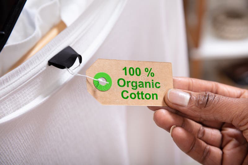 Close-up Of A Woman`s Hand Holding Label Showing 100 Percent Organic Cotton. Close-up Of A Woman`s Hand Holding Label Showing 100 Percent Organic Cotton