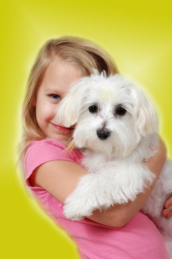 Glowing soft affect put on little girl with her new Maltese puppy. The best gift for a child is a friend. Her first puppy. Glowing soft affect put on little girl with her new Maltese puppy. The best gift for a child is a friend. Her first puppy.