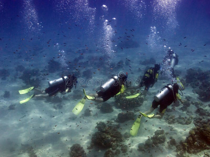 A group of divers exploring polynesian coral reef of Bora Bora with a master scuba guide. A group of divers exploring polynesian coral reef of Bora Bora with a master scuba guide