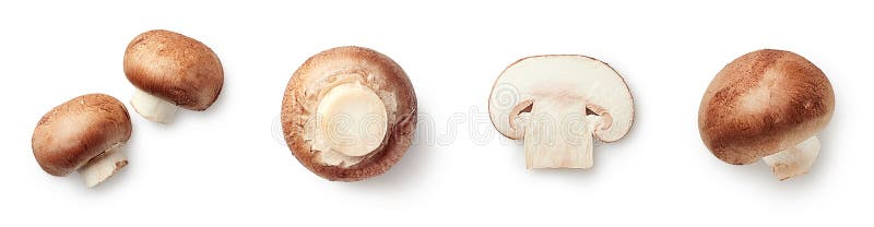 Настройка свежих и разделенного champignons стоковая фотография