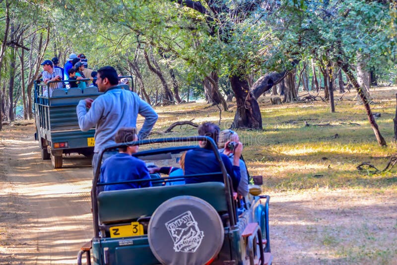 Национальный парк RANTHAMBORE, ИНДИЯ 15-ое апреля: Туристская группа на опасной зоне виллиса сафари пересекая леса стоковые изображения Национальный парк RANTHAMBORE, ИНДИЯ 15-ое апреля: Туристская группа на опасной зоне виллиса сафари пересекая леса стоковые изображения