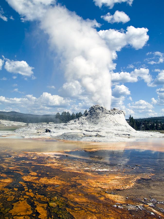 Castle Geyser of Yellowstone National Park in Wyoming erupts with hot water and steam with pools of thermophilic bacteria in the foreground. Castle Geyser of Yellowstone National Park in Wyoming erupts with hot water and steam with pools of thermophilic bacteria in the foreground.