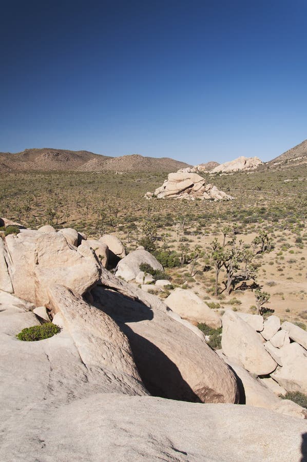 The rugged landscape at the hall of horrors area within joshua tree national park in sunny california. The rugged landscape at the hall of horrors area within joshua tree national park in sunny california