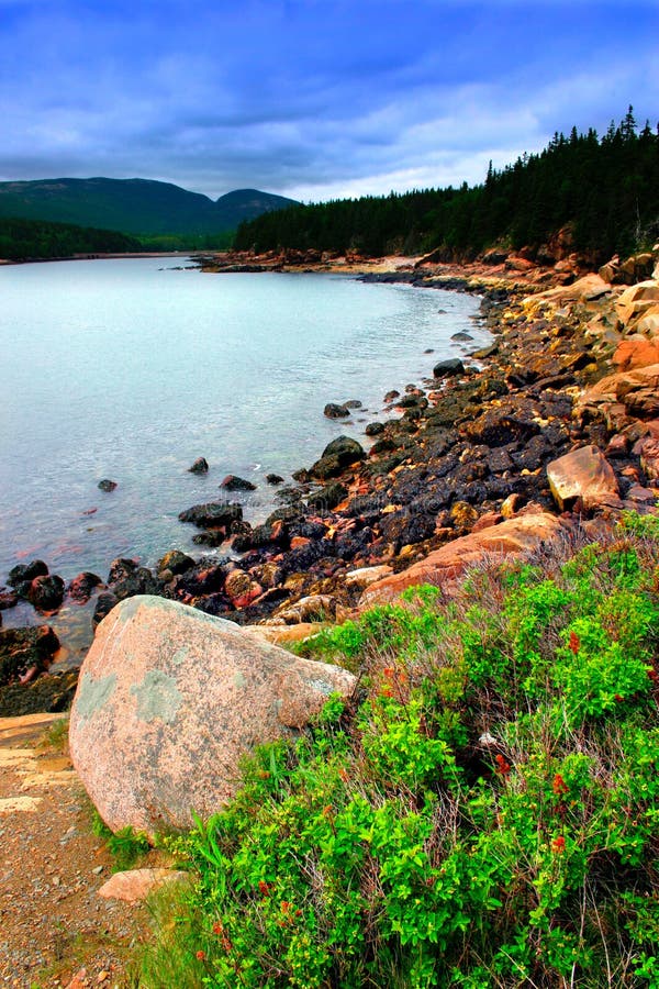 Taken at Eagle Lake, Acadia National Park, Maine, USA on a stormy day. Taken at Eagle Lake, Acadia National Park, Maine, USA on a stormy day