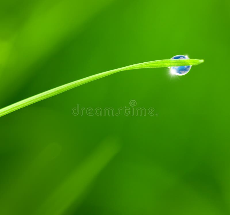 небо отражения травы dewdrop лезвия стоковое изображение небо отражения травы dewdrop лезвия стоковое изображение