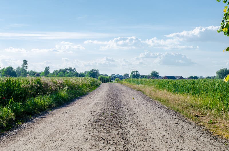 Nice Country road in summer sun. Nice Country road in summer sun