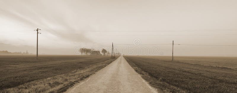 Countryroad with mist and fog in winter. Countryroad with mist and fog in winter