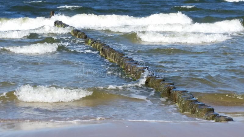 Небольшие волны моря с деревянным волнорезом и чистым песчаным пляжем стоковые изображения Небольшие волны моря с деревянным волнорезом и чистым песчаным пляжем стоковые изображения