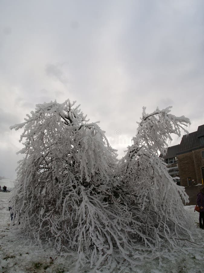 A massive ice storm hits Niagara Falls, Ontario  coating everything in a thick, beautiful but deadly layer of ice. A massive ice storm hits Niagara Falls, Ontario  coating everything in a thick, beautiful but deadly layer of ice