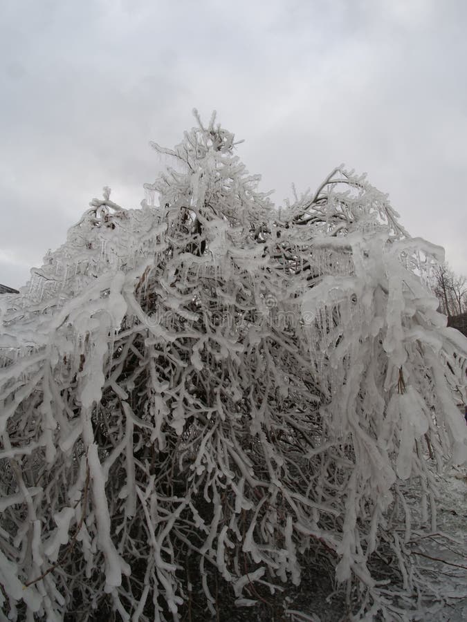 A massive ice storm hits Niagara Falls, Ontario  coating everything in a thick, beautiful but deadly layer of ice. A massive ice storm hits Niagara Falls, Ontario  coating everything in a thick, beautiful but deadly layer of ice