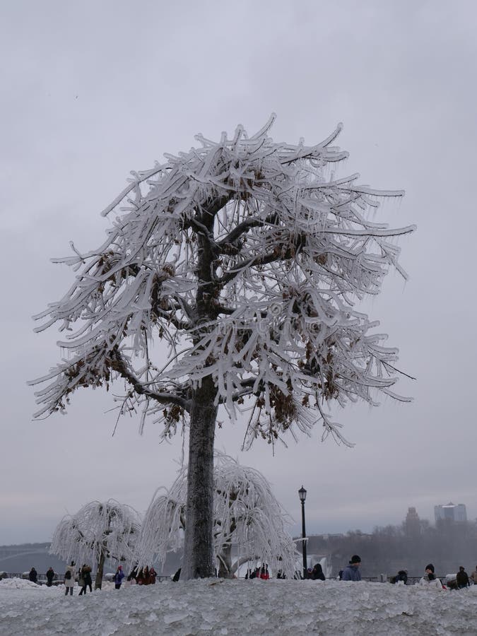 A massive ice storm hits Niagara Falls, Ontario  coating everything in a thick, beautiful but deadly layer of ice. A massive ice storm hits Niagara Falls, Ontario  coating everything in a thick, beautiful but deadly layer of ice