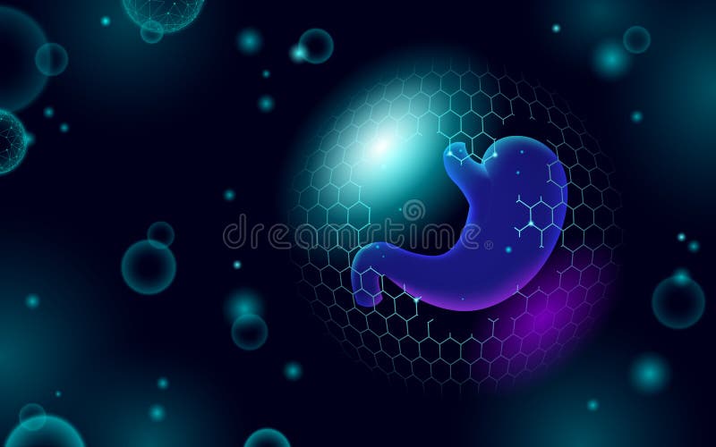 низкий поли 3d человека живота щит защиты. концепция медицины. векторная иллюстрация иллюстрация штока