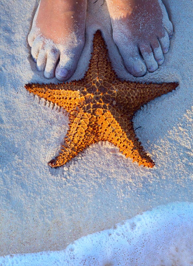 Art Beautiful female legs and starfish on the beach sand. Art Beautiful female legs and starfish on the beach sand