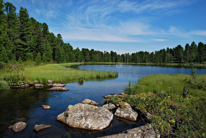 Одичалые лес, река и озеро Karacol, Altai, Россия стоковые изображения Одичалые лес, река и озеро Karacol, Altai, Россия стоковые изображения