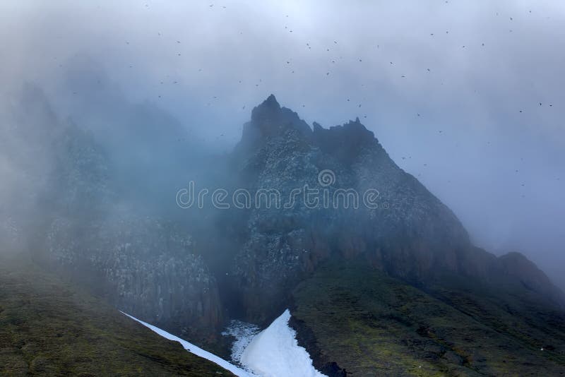 Gloomy Cover glacier and cliffs in Arctic (Franz-Josef Land, Northbrook island, Flora cape). Clouds slide over from glacier and cliff to sea. Rocks like an impregnable castle with seabird colonies. Gloomy Cover glacier and cliffs in Arctic (Franz-Josef Land, Northbrook island, Flora cape). Clouds slide over from glacier and cliff to sea. Rocks like an impregnable castle with seabird colonies