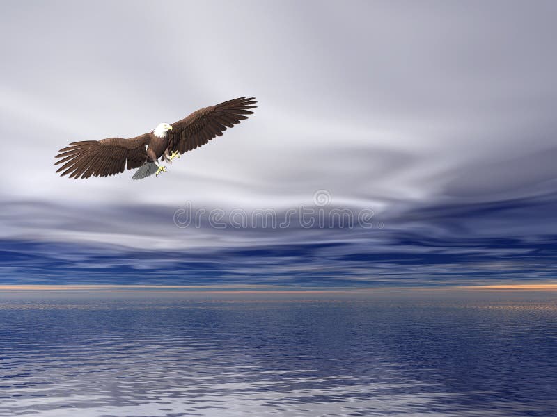 Illustrated surreal bald eagle flying over sea. Illustrated surreal bald eagle flying over sea