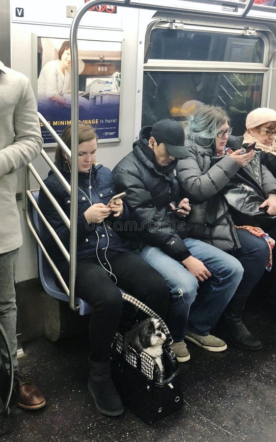 Образ жизни поезда NYC MTA вагона метро катания собаки домашнего животного людей и Нью-Йорка городской стоковое изображение Образ жизни поезда NYC MTA вагона метро катания собаки домашнего животного людей и Нью-Йорка городской стоковое изображение
