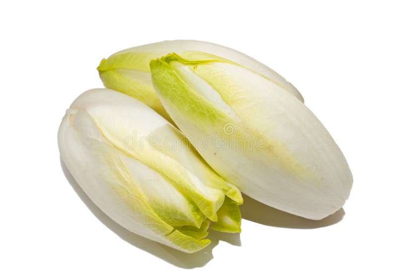 Cigar-shaped witlof, also known as Belgian endive or chicory, has smooth, firm white leaves with pale yellow tips. Cigar-shaped witlof, also known as Belgian endive or chicory, has smooth, firm white leaves with pale yellow tips.