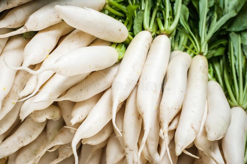 Organic local daikon radish vegetables for sale at outdoor asian marketplace. Organic local daikon radish vegetables for sale at outdoor asian marketplace