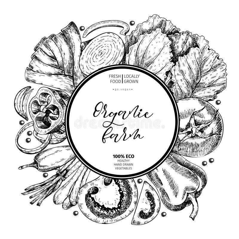 Овощи фермы вектора нарисованные рукой Круглый состав границы Томат, лук, капуста, перец, лук-порей Выгравированное искусство орг иллюстрация штока Овощи фермы вектора нарисованные рукой Круглый состав границы Томат, лук, капуста, перец, лук-порей Выгравированное искусство орг иллюстрация штока