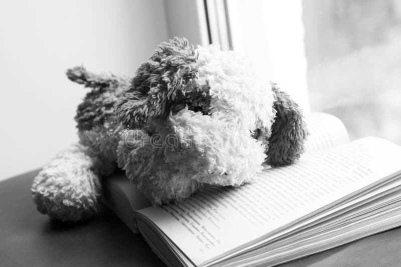 одинокая собачья игрушка и книга на окне грустное изображение стоковое фото