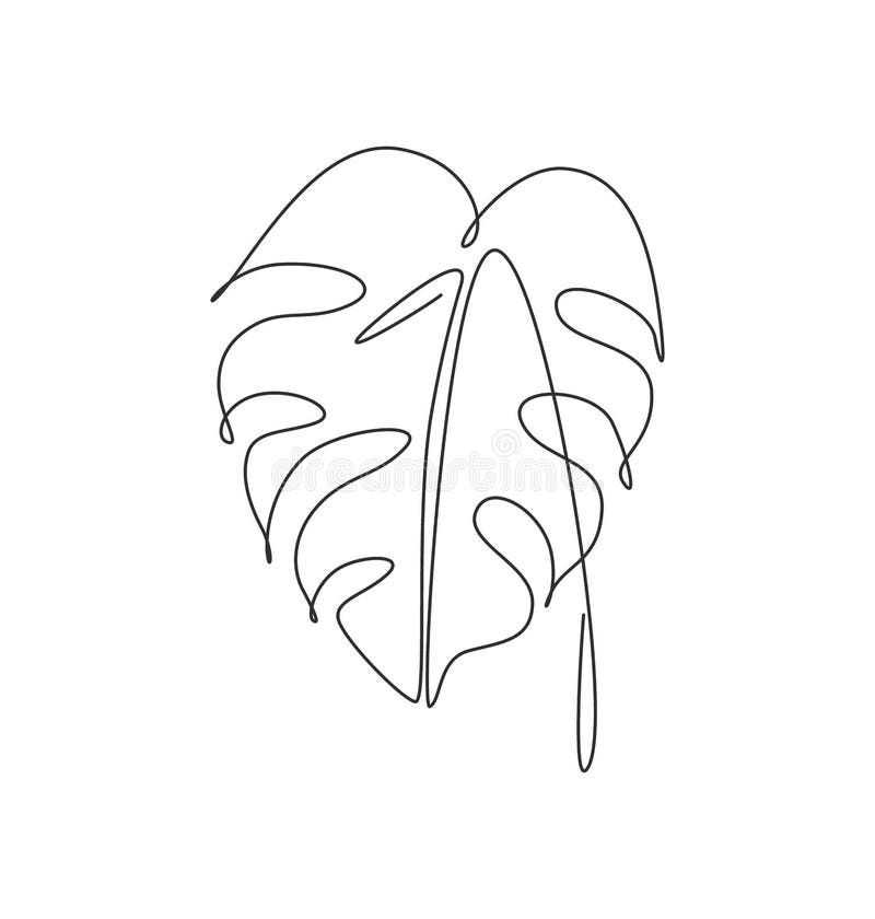 Одна непрерывная линия лист monstera абстрактных рисунка тропические. Минимальная естественная концепция eco ботаники. Домашняя су бесплатная иллюстрация