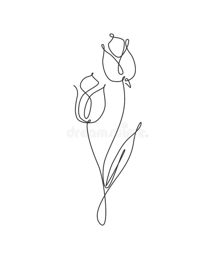 Одна непрерывная линия цветок tulip рисунка красивый абстрактный. Понятие минимального новой естественной красоты. Домашний tote п бесплатная иллюстрация